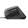 Trust Bayo II pele Labroku USB Type-A 2400 DPI