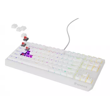 GENESIS Thor 230 TKL tastatūra Spēļu USB QWERTY US English Balta