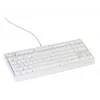 GENESIS Thor 230 TKL tastatūra Spēļu USB QWERTY US English Balta