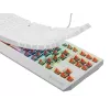 GENESIS Thor 230 TKL tastatūra Spēļu USB QWERTY US English Balta