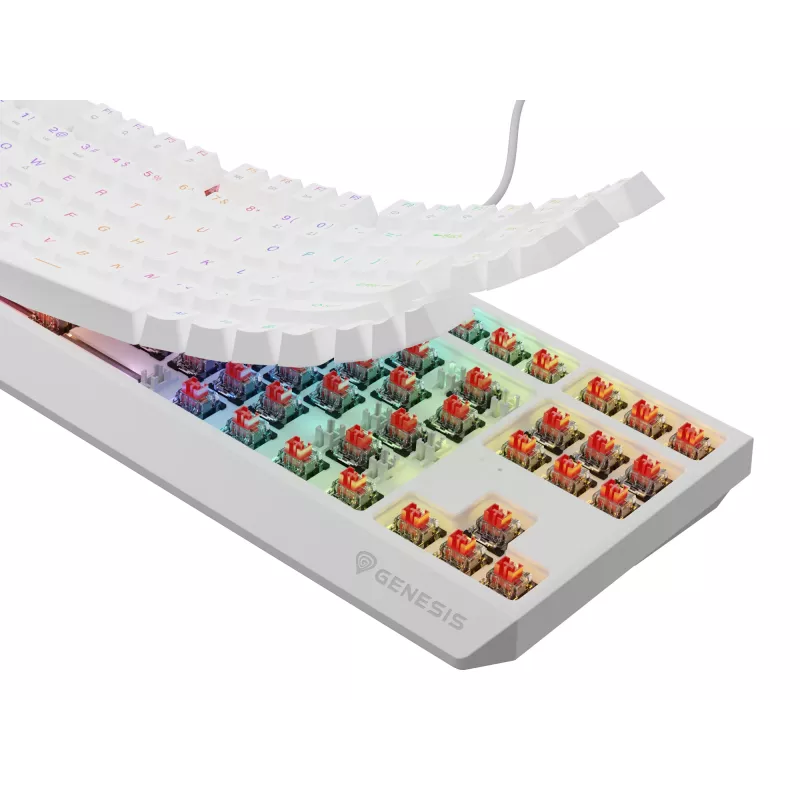 GENESIS Thor 230 TKL tastatūra Spēļu USB QWERTY US English Balta