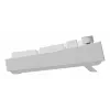 GENESIS NKG-2300 tastatūra Universāla USB QWERTY angļu Balta