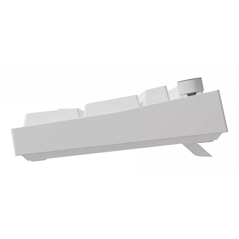 GENESIS NKG-2300 tastatūra Universāla USB QWERTY angļu Balta