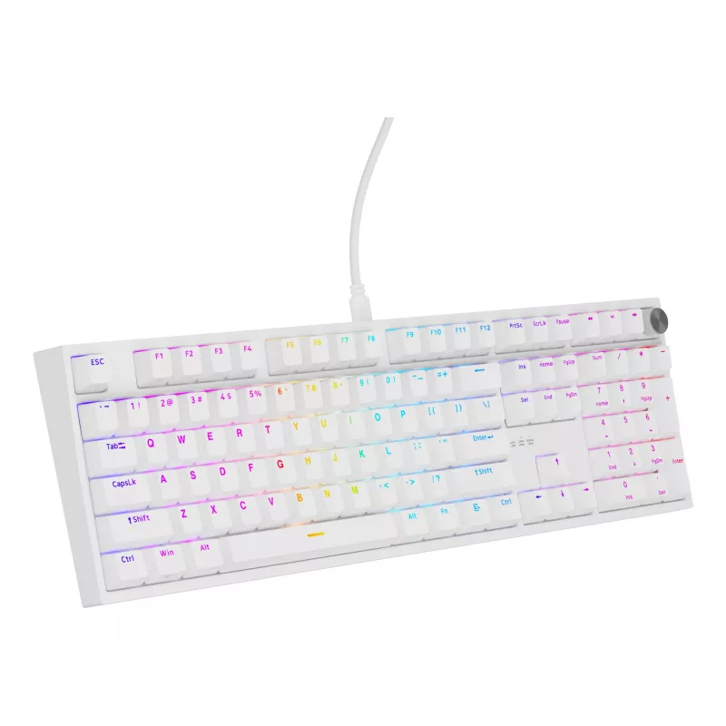 GENESIS NKG-2300 tastatūra Universāla USB QWERTY angļu Balta