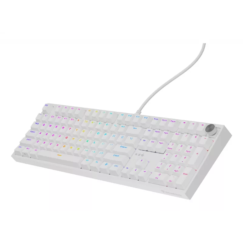GENESIS NKG-2300 tastatūra Universāla USB QWERTY angļu Balta
