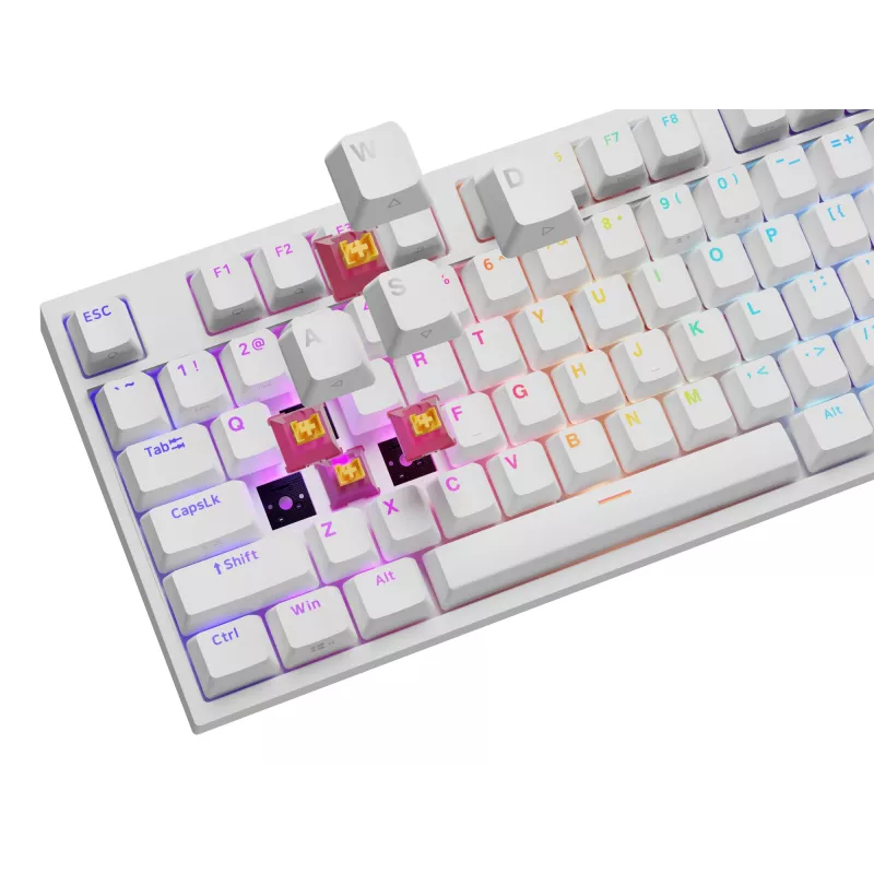 GENESIS NKG-2300 tastatūra Universāla USB QWERTY angļu Balta