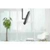 Neomounts FPMA-C060Melns Monitora/TV stiprinājums pie griestiem 10-40 collas - augstums 60-85 cm