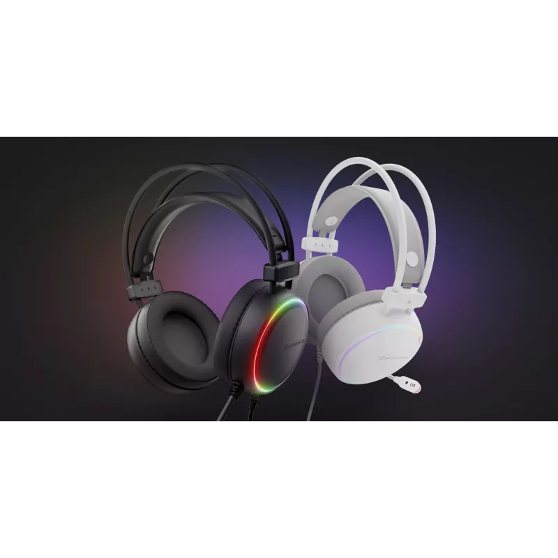 GENESIS NSG-2308 austiņas/austiņu komplekts Vadu Galvas lentes Spēļu USB Type-A Balts