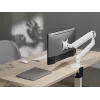 Equip 17 collu-35 collu Premium monitora galda stiprinājuma kronšteins, balts