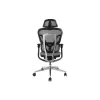 Equip ergonomisks premium klases biroja krēsls ar galvas balstu un roku balstiem, pelēks