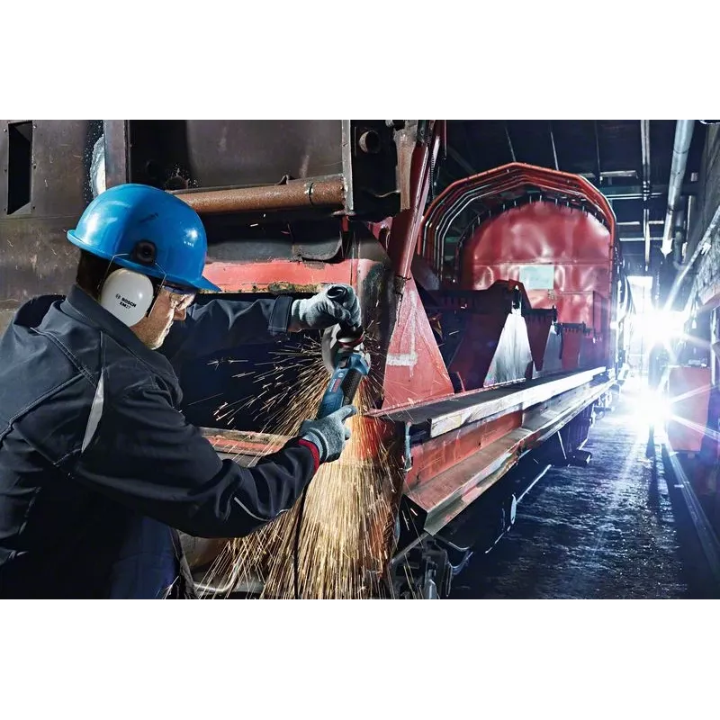 Bosch GWS 19-125 CIE Professional leņķa slīpmašīna 12.5 cm 11500 RPM 1900 W 2.4 kg