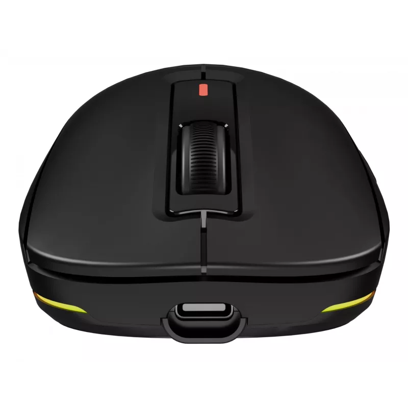 GENESIS NMG-2193 pele Spēlēm Piemērota abām rokām Bluetooth + USB Type-C Optiskais 26000 DPI
