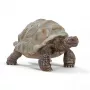 Figūra, Schleich, WILD LIFE Milzu bruņurupucis