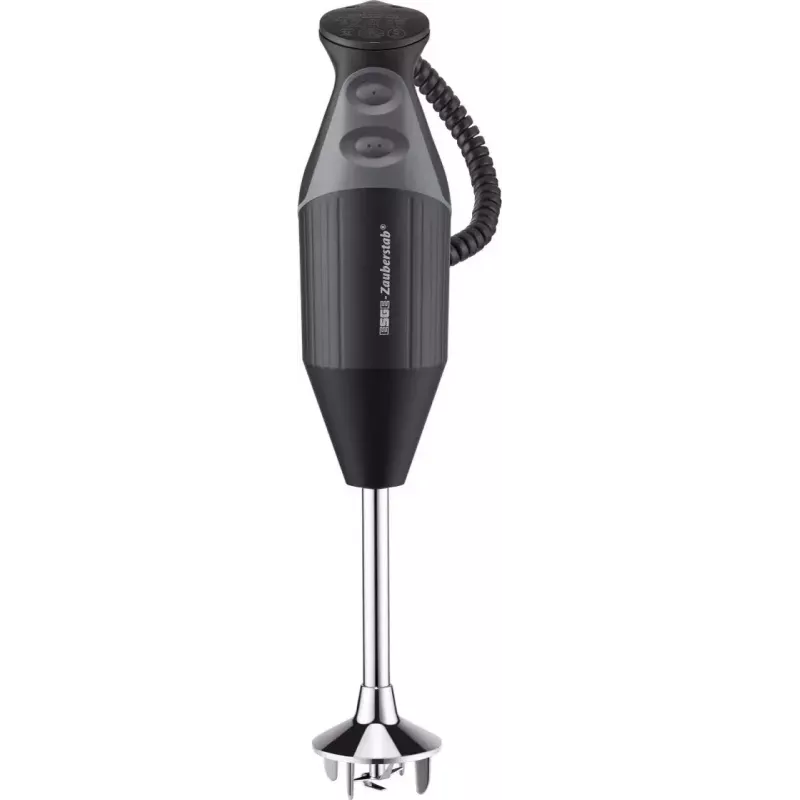 ESGE M 200 BBQ 10 L iegremdējamais blenderis 200 W Melns, Hromēts