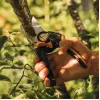Atzarošanas šķēres Fiskars X-Series L P961 — apvada tipa, tērauda asmens, griešanas jauda 2,6 cm, garums 222 mm