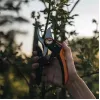Atzarošanas šķēres Fiskars Plus PowerLever P721 — apvedšķēres zariem un stublājiem
