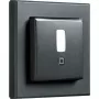 Kustības detektors HomeMatic IP HmIP-SMI55-A antracīta krāsā — montāža pie sienas/griestiem, 55 kadri