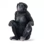 Figūriņa Schleich WILD LIFE Bonobo mātīte 14875 Melna 3 gadi