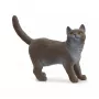 Figūra Schleich British Shorthair Cat model 13973, brūni pelēka, vecumam no 3 gadiem