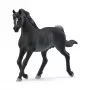 schleich HORSE CLUB Arābijas ērzelis, 5 gadu vecs, Zirgi, Melns, Pelēks, Balts, Plastmasa