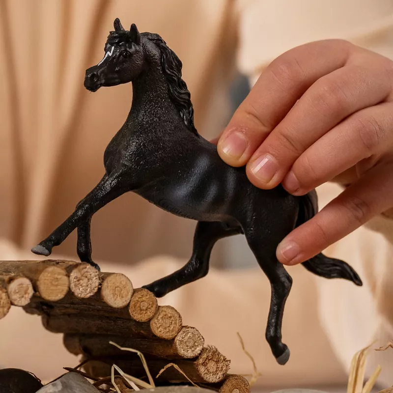 schleich HORSE CLUB Arābijas ērzelis, 5 gadu vecs, Zirgi, Melns, Pelēks, Balts, Plastmasa