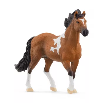 schleich HORSE CLUB Mangalarga Marchador Ērzelis, 5 gadu(-i), Zirgi, Melns, Brūns, Balts, Plastmasa
