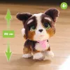 FurReal Walkalots Bernedoodle Puppy, Boy/Girl, 4 yr(s), Sounding