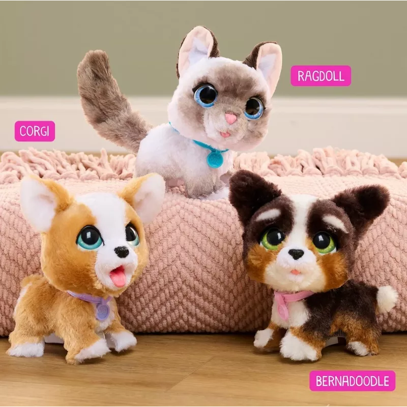 FurReal Poop-a-lots Corgi, Boy/Girl, 4 gadi, Skanošs FurReal Poop-a-lots Corgi. Produkta krāsa: Daudzkrāsains