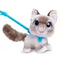 FurReal Wag-a-lots Kitty, zēns/meitene, 4 gadi, skaņa FurReal Wag-a-lots Kitty. Produkta krāsa: daudzkrāsains