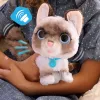 FurReal Wag-a-lots Kitty, zēns/meitene, 4 gadi, skaņa FurReal Wag-a-lots Kitty. Produkta krāsa: daudzkrāsains