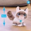 FurReal Wag-a-lots Kitty, zēns/meitene, 4 gadi, skaņa FurReal Wag-a-lots Kitty. Produkta krāsa: daudzkrāsains