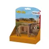 Schleich WILD LIFE Rūcoša lauva Daudzkrāsains Plastmasa 3+ gadi