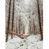Pakarama šūpuļtīkls AMAZONAS AZ-1030186