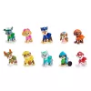 PAW Patrol, 10. jubileja, “Visi ķepas uz klāja” rotaļu figūriņu dāvanu komplekts ar 10 kolekcionējamām darbības figūriņām, bērnu rotaļlietas vecumam no 3 gadiem