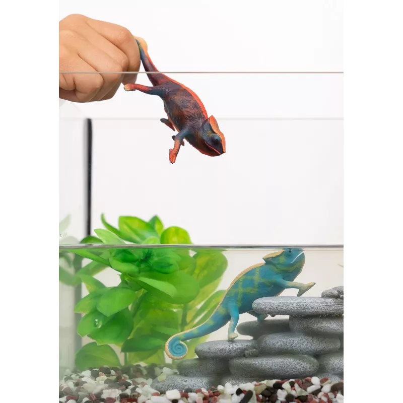 schleich WILD LIFE Hameleons, 3 gadi, Mežs, Safari, Savvaļas dzīvnieki / piedzīvojumu rotaļlietas, Daudzkrāsains, Plastmasa