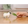 schleich Valais Blacknose aita, 3 gadi, Lauksaimniecība, Lauksaimniecības dzīvnieki / lauksaimniecības rotaļlietas, Melna, Balta, Plastmasa
