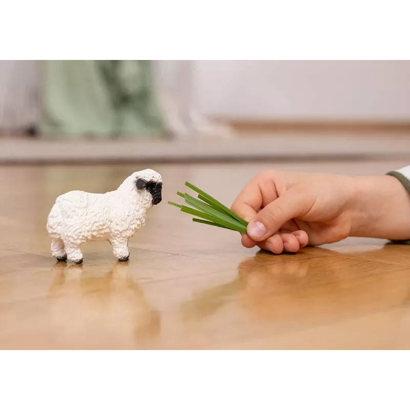 schleich Valais Blacknose aita, 3 gadi, Lauksaimniecība, Lauksaimniecības dzīvnieki / lauksaimniecības rotaļlietas, Melna, Balta, Plastmasa