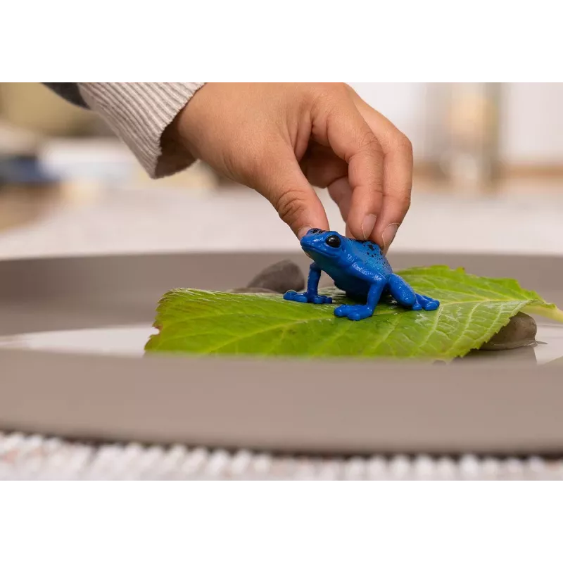 Figūra TEKA Blue Poison Dart Frog schleich WILD LIFE — plastmasas dzīvnieka figūriņa, 3+ gadi