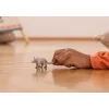 Rotaļlieta Schleich WILD LIFE Cūkskudra Pelēka 14863S Ieteicamais vecums 3 gadi
