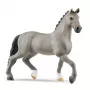 schleich HORSE CLUB Selle Français ērzelis, 5 gadu, Zirgi, Pelēks, Plastmasa