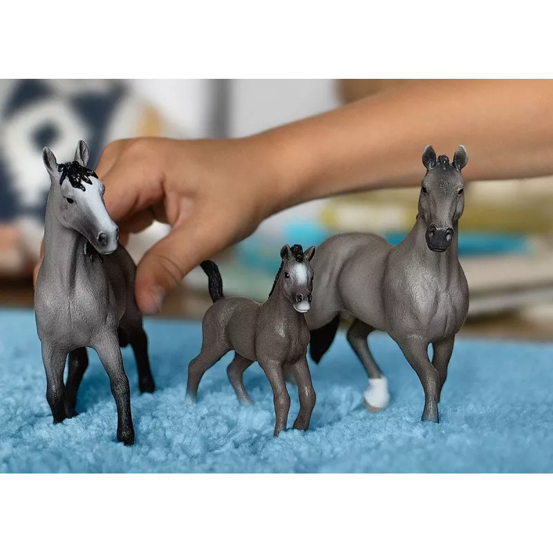 schleich HORSE CLUB Selle Français ērzelis, 5 gadu, Zirgi, Pelēks, Plastmasa