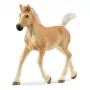 schleich HORSE CLUB Haflinger kumeļš, 5 gadi, Zirgi, Bēšs, Brūns, Plastmasa