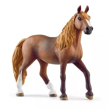 schleich HORSE CLUB Peruvian Paso Mare, 5 gadu, Zirgi, Brūns, Balts, Plastmasa