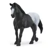 schleich HORSE CLUB Zirgu kaste ar ķēvi un kumeļu, Zirgu stallis, Zirgi, 5 gadu vecumam, Daudzkrāsains, Plastmasa