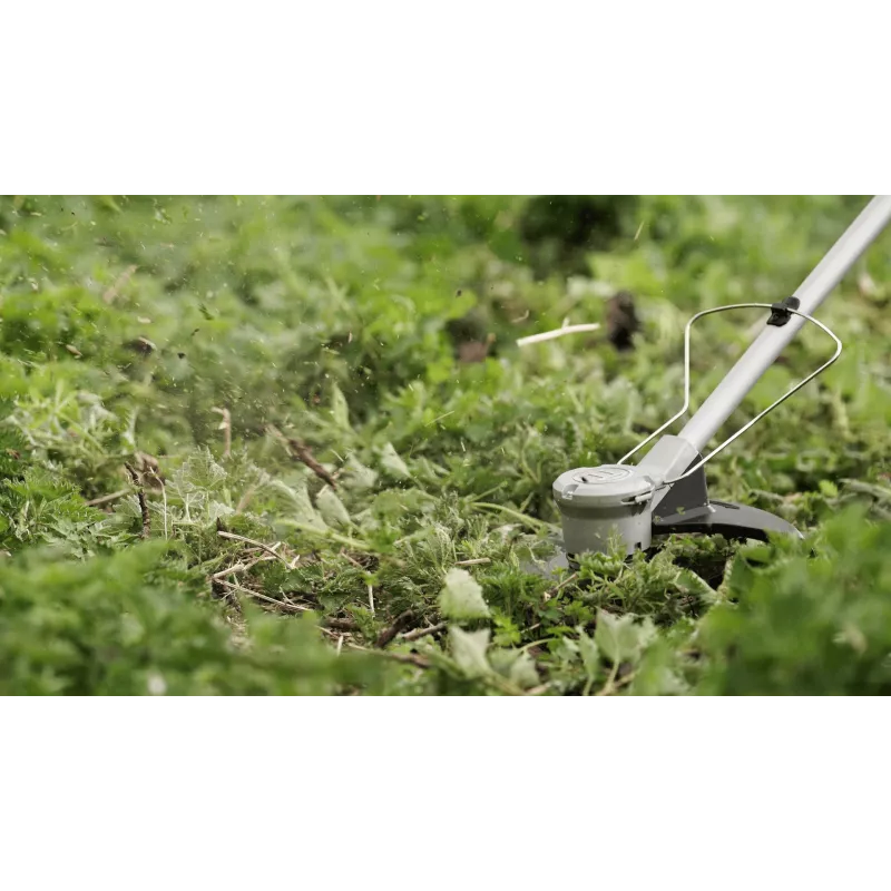 Bosch BrushCut bezvada zāles šķēres 2,4 mm 36 V litija jonu (Li-Ion) zaļas