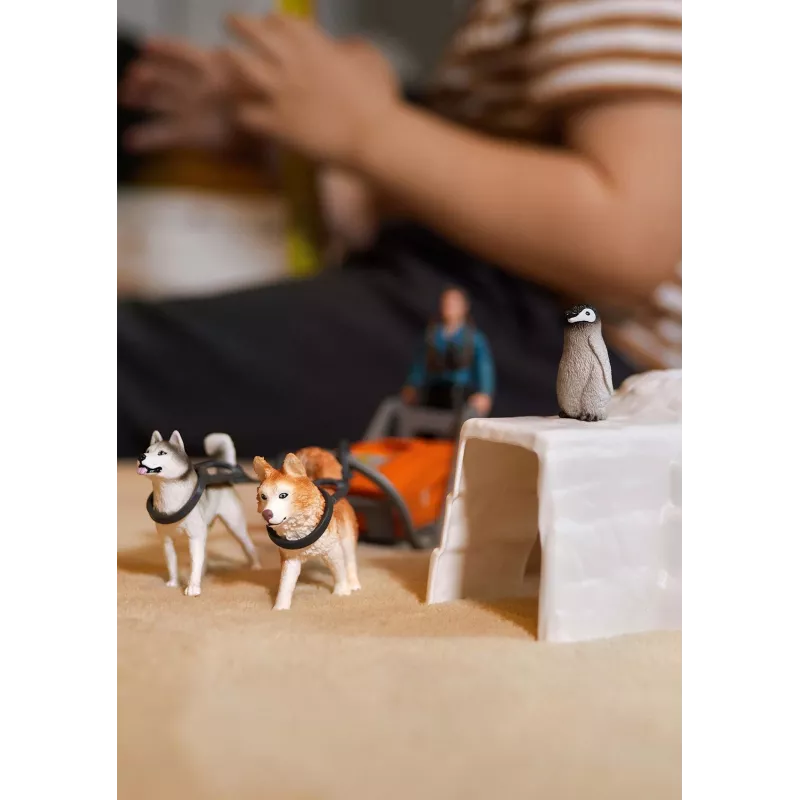 Zoo Schleich WILD LIFE Antarktikas ekspedīcija Daudzkrāsains 42558