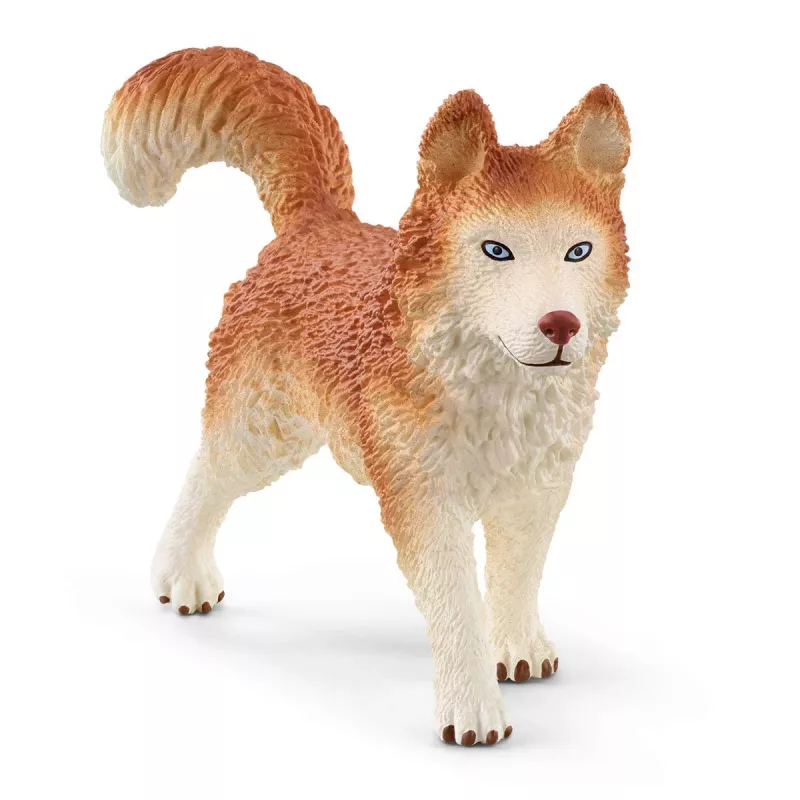 Zoo Schleich WILD LIFE Antarktikas ekspedīcija Daudzkrāsains 42558