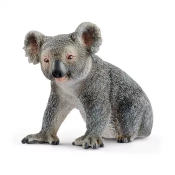schleich WILD LIFE Koala, 3 gadi, Džungļi, Savvaļas dzīvnieki / piedzīvojumu rotaļlietas, Daudzkrāsains, Plastmasa, 1 gab.