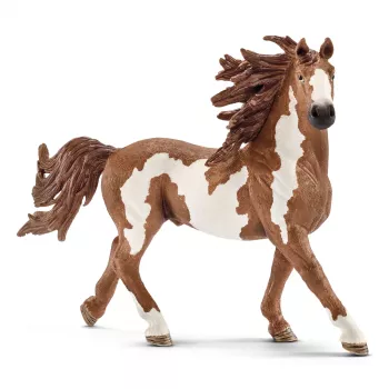 schleich FARM WORLD Pinto ērzelis, 3 gadu vecs, Lauku dzīvnieki / lauku rotaļlietas, Zirgi, Daudzkrāsains, Plastmasa, 1 gab.