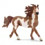 schleich FARM WORLD Pinto ērzelis, 3 gadu vecs, Lauku dzīvnieki / lauku rotaļlietas, Zirgi, Daudzkrāsains, Plastmasa, 1 gab.